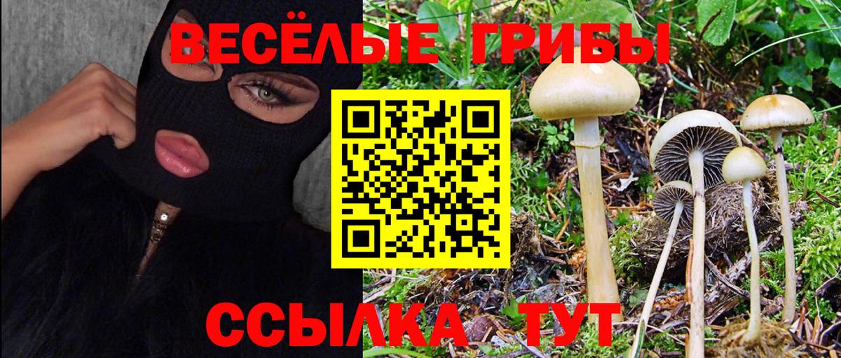 Галлюциногенные грибы прущие грибы Конаково